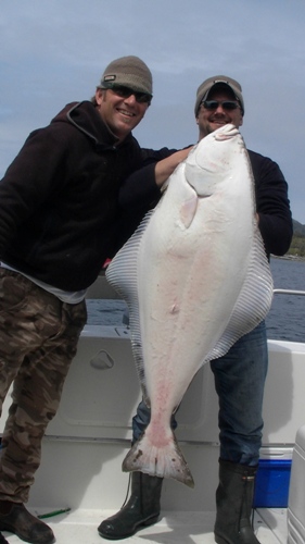 Todd Haynes holding a 55lb halibut